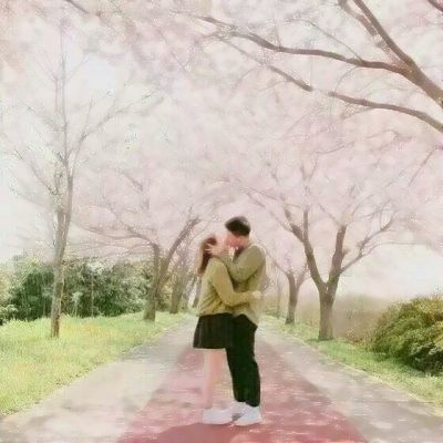 空无一人的花路【图片】